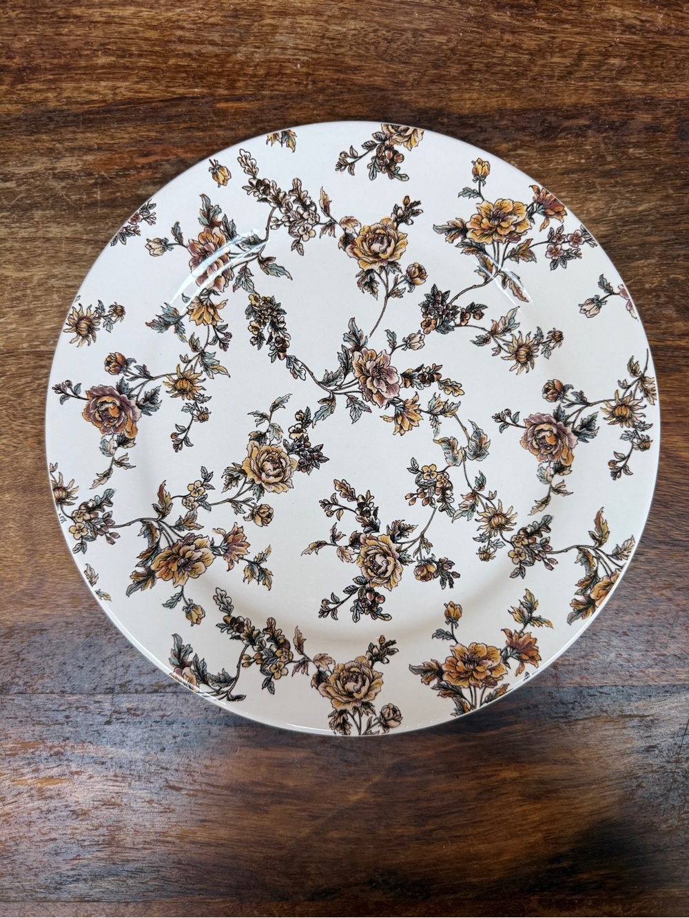 Sur La Table Cream Dinner Plates with Brown Floral Motif - Set of 3